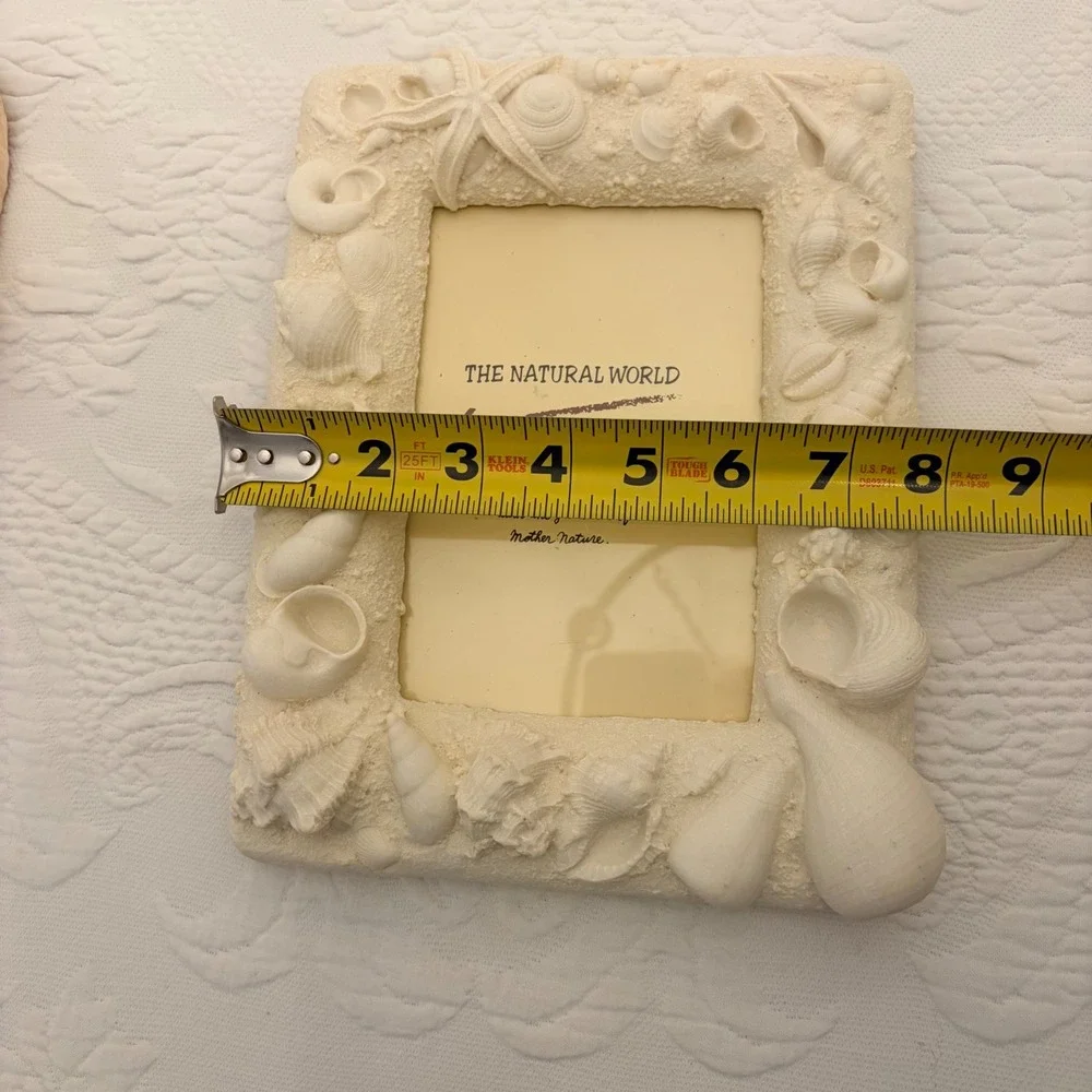 The Natural World Coastal Seashell Picture Frame & 4 Natural Shell Decor Conch